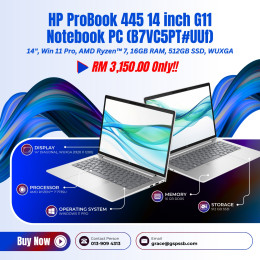 HP ProBook 445 14 inch G11 Notebook PC (B7VC5PT#UUF)